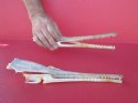 Garfish Skulls
