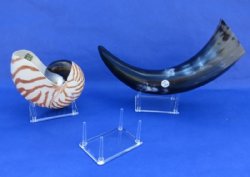 3-1/2 by 2-1/2 inches Small 4 Leg Plastic, Acrylic Seashell and Rock Display Stands for Sale - Pack of 12 @ $1.60 each (Shells shown are not included)