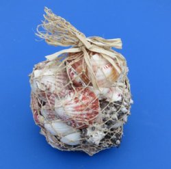 2.25 pounds Assorted Seashells in Open Weave Rope Gift Bag - Case of 24 @ $3.40 each 