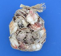 2.25 pounds Assorted Seashells in Open Weave Rope Gift Bag - Case of 24 @ $3.40 each 