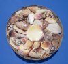 10 inches Round Large Basket of Assorted Seashells for Sale (3 pounds of shells) - Pack of 1 @ $5.00 each; Pack of 3 @ $4.00 each 