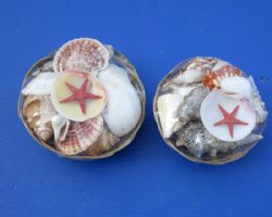 6 inches Round Seashell Basket of Assorted Shells - Case of 36 @ $1.15 each;