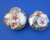 6 inches Round Basket of Assorted Seashells Wholesale - 1 Case of 36 pieces @ $1.20 each; 4 or more <font color=red>Wholesale Cases</font> of 36 pieces @ .75 each