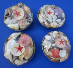 8 inches Round Rattan Basket of Seashells in Bulk - 6 @ $2.80 each