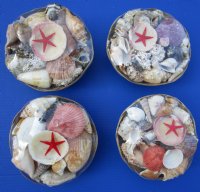 8 inches Round Rattan Basket of Seashells in Bulk - 6 @ $2.80 each