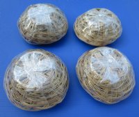 8 inches Round Rattan Basket of Seashells in Bulk - 6 @ $2.80 each