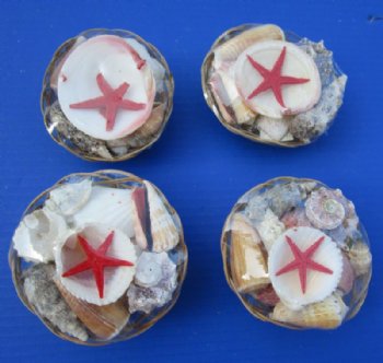 4 inches Small Round Basket of Seashells - 12 @ $1.20 each