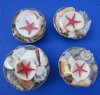 4 inches Small Round Seashell Baskets Wholesale filled with assorted seashells for party favors - Case of 48 @ .80 each; 3 or more <font color=red>wholesale cases</font> of 48 @ .50 each