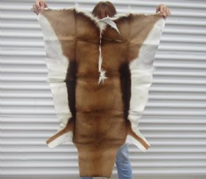 Springbok Skins, Hides
