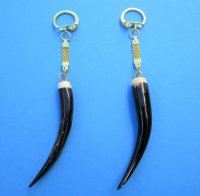 Genuine Polished Springbok Horn Key Chain for Sale with 3 to 4 inches Horn Tip - You will receive one that looks similar to those pictured for <font color=red> $14.99</font> Plus $7.50 First Class Mail -