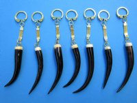 Genuine Polished Springbok Horn Key Chain for Sale with 3 to 4 inches Horn Tip - You will receive one that looks similar to those pictured for <font color=red> $14.99</font> Plus $7.50 First Class Mail -