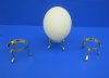 3 by 2-1/2 inches 3 Leg Brass Ostrich Egg Stand for Sale (The ostrich egg is not included with the stand) - $7.49 each