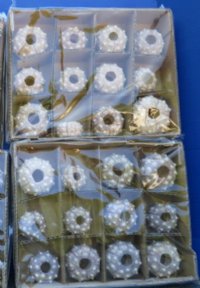 Denuded Sputnik Sea Urchins 1-3/4 to 3 inches - 12 @ $1.35 each; 24 @ $1.20 each 