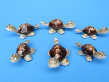 2-1/2 inches Tiny Cowrie Shell Turtles with Wire Rimmed Glasses Novelty <font color=red>Wholesale</font>  - 300 @ .30 each