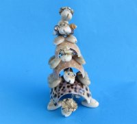 4-1/2 inches tall 5 Stacked Bobbing Head Seashell Turtle Novelty Wearing a Tiny Hat and Wire Rimmed Glasses - 12 @ $2.50 each