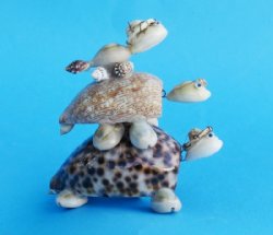 3 Rider, Stacked Bobbing Head Seashell Turtles, Hat, Glasses <font color=red> Wholesale</font> - Case: 120 @ $1.05 each