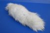 13 to 14 inches Real Tanned Blue Fox Tail Key Chain for Sale -  Pack of 1 @ <font color=red> $14.99 each</font> Plus $6.50 1st Class Mail