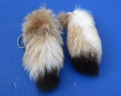 Tanned Canadian Lynx Tail Key Chains for Sale - $11.99 