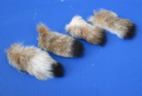 Canadian Lynx Tail Key Chains <font color=red> Wholesale</font> - 12 @ $7.75 each