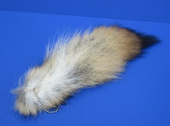 Tanned Coyote Tail Key Chains <font color=red> Wholesale</font> - 12 @ $7.75 each
