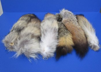 12 to 15 inches Soft Tanned Coyote Tail Key Chains for <font color=red>2 @ $11.65 each </font> (Plus $7 Ground Advantage Mail)