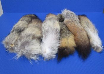 Tanned Coyote Tail Key Chains <font color=red> Wholesale</font> - 12 @ $7.75 each