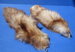 Dyed Crystal Fox Tail with Gold Clasp<font color=red> Wholesale</font> 16 to 18 inches   - 8 @ $14.40 each