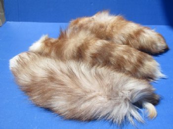 Dyed Crystal Fox Tail with Gold Clasp<font color=red> Wholesale</font> 16 to 18 inches   - 8 @ $14.40 each