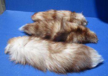 Dyed Crystal Fox Tail with Gold Clasp<font color=red> Wholesale</font> 16 to 18 inches   - 8 @ $14.40 each