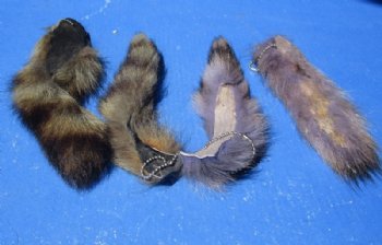 Dyed Raccoon Tail Key Chains <font color=red> Wholesale</font> 5 to 9 inches - 25 @ $3.60 each