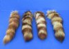 Crystal Dyed Tanned Raccoon Tail Key Chains for $8.99 each (Plus $6.50 First Class Mail)