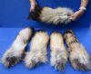 <font color=red> Wholesale</font> Tanned Finn Raccoon Tail Key Chains for Sale in Bulk - Case of 14 @ $6.50 each