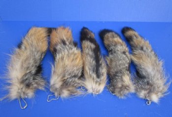 13 to 16 inches long Tanned Grey Fox Tail Key Chain for sale - <font color=red>$11.99 each</font> (Plus $7 Ground Advantage Mail) 