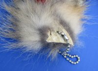 13 to 16 inches long Tanned Grey Fox Tail Key Chain for sale - <font color=red>$11.99 each</font> (Plus $7 Ground Advantage Mail) 