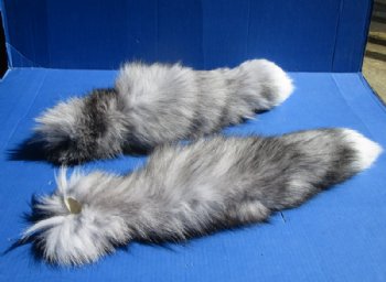 Extra Large Dyed Indigo Fox Tail Key Chains<font color=red> Wholesale</font> 21 to 25 inches   - 8 @ $17.50 each