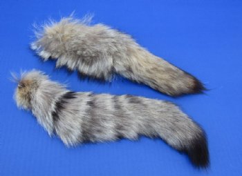 10 to 13 inches Kit Fox Tail Key Chains,<font color=red> Wholesale</font> - 12 @ $7.75 each