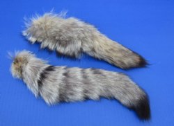 10 to 13 inches Kit Fox Tail Key Chains,<font color=red> Wholesale</font> - 12 @ $7.75 each