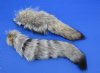 10 to 13 inches Kit Fox Tail Key Chains for Sale (Vulpes Macrotis) - Packed 2 @ <font color=red> $13.99 each</font> Plus $7.50 1st Class Mail
