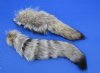 10 to 13 inches Kit Fox Tail Key Chains for Sale (Vulpes Macrotis) for $11.99 Plus $7.50 Postage