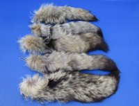 10 to 13 inches Kit Fox Tail Key Chains,<font color=red> Wholesale</font> - 12 @ $7.75 each