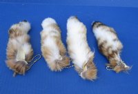 6 to 8 inches Soft Tanned Lynx Tail Key Chain for Sale - <font color=red>$13.60 each</font> Plus $6.50 First Class Mail 