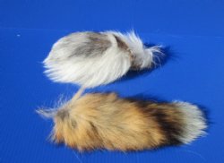 10 to 13 inches Assorted Tanned Fox Tail Key Chains <font color=red> Wholesale</font>  with Attached Ball Chain Clasp - Case of 12 @ $7.75 each