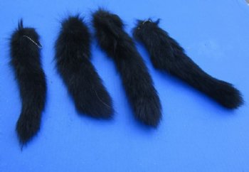 10 to 13 inches Dyed Black Raccoon Tails with Ball Chains  <font color=red> Wholesale</font>-  20 @ $4.50 each