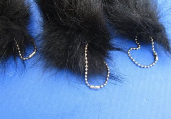 Tanned Dyed Black Raccoon Tail Key Chain 10 to 12 inches long - 2 @ $7.50 each