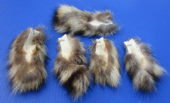 Small Raccoon Tails with Ball Chains <font color=red> Wholesale</font>, 5 to 7 inches-  35 @ $2.70 each