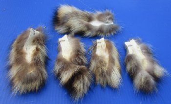 5 to 7 inches Small Raccoon Tail Key Chains <font color=red> Wholesale</font>-  35 @ $2.70 each