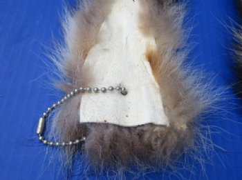 Small Raccoon Tails with Ball Chains <font color=red> Wholesale</font>, 5 to 7 inches-  35 @ $2.70 each