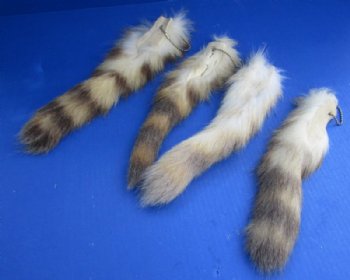 Tanned Light Colored Raccoon Tail Key Chain 10 to 12 inches long - 2 @ $7.99 each