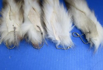 10 to 13 inches Light Colored Raccoon Tails with Ball Chains  <font color=red> Wholesale</font>-  20 @ $4.50 each