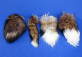 13 to 16 inches Tanned Red Fox Tail Ball Chain Keychains for Sale - 2 @ $13.00 each 